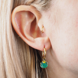 Frog Prince Charm Hypoallergenic Hoop