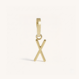 Delicate Initial Charm