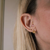 Zodiac Sign Hypoallergenic Earrings