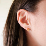 Zodiac Sign Hypoallergenic Earrings