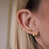 Zodiac Sign Hypoallergenic Earrings