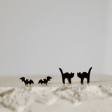 After Dark Stud Set of 2