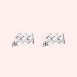 Zodiac Sign Hypoallergenic Earrings