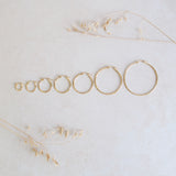 Everyday Hoop Hypoallergenic Earrings
