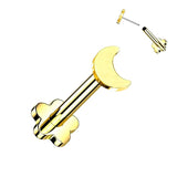 Single Titanium Crescent Moon Cartilage Hypoallergenic Stud