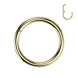 Single Hinged Titanium Segment Hypoallergenic Ring