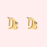 Zodiac Sign Hypoallergenic Earrings