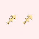 Zodiac Sign Hypoallergenic Earrings