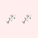 Zodiac Sign Hypoallergenic Earrings