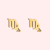 Zodiac Sign Hypoallergenic Earrings