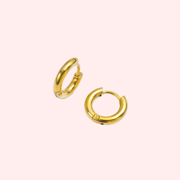 🎁 Essential Hypoallergenic Hinged Hoop Earrings (100% off)