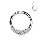 Stainless Steel 5 Set CZ Hinged Segment Ring