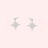 North Star Hypoallergenic Charms