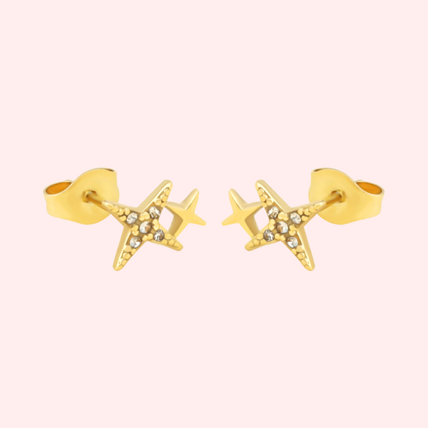 Double Star Hypoallergenic Earrings